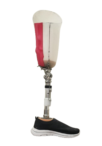 Trans-Femoral Prosthesis Image
