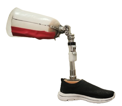 Trans-Femoral Prosthesis Image