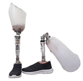 Trans-Femoral Prosthesis Image